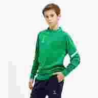 Джемпер тренировочный JOGEL CAMP 2 Training Top, зеленый, детский - downloaded from prime-sport.ru