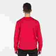 Толстовка  CHAMELEON Красный - Толстовка  CHAMELEON Красный