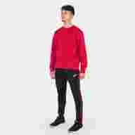 Толстовка  CHAMELEON Красный - Толстовка  CHAMELEON Красный