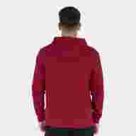 Толстовка с капюшоном CHAMELEON Бордовый - Толстовка с капюшоном CHAMELEON Бордовый