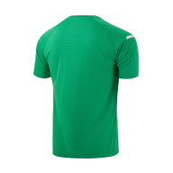 Футболка тренировочная CAMP 2 Training Poly Tee, зеленый/белый - downloaded from prime-sport.ru